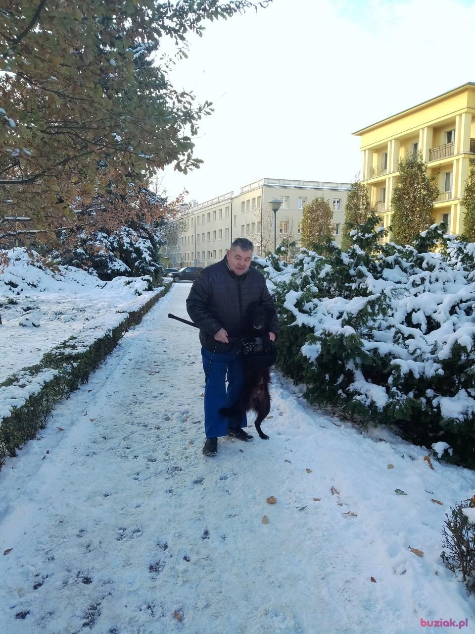Grzegorz, Male, 66, Rzeszów, Polska, Photo: 6