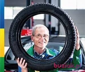 Adam, Mężczyzna, 74, Warszawa, Polska, Zdjęcie: 15