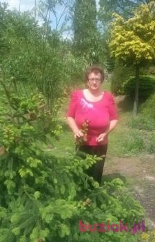 Irena, Female, 71, Polska, Photo: 5