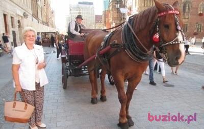Aleksandra, Kobieta, 74, Wrocław, Polska, Zdjęcie: 7
