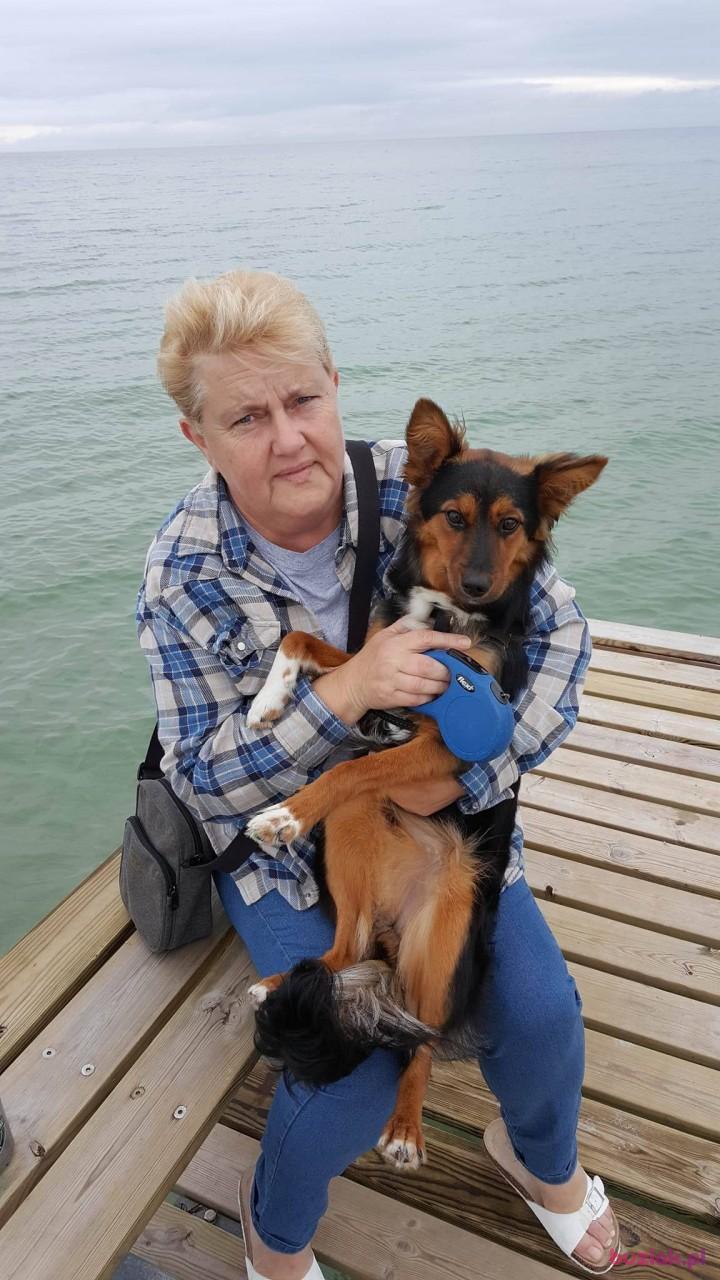 Maria, Kobieta, 67, Szczecin, Polska, Zdjęcie: 5