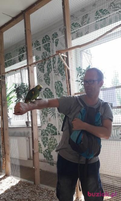 krzyś, Mężczyzna, 52, Poznań, Polska, Zdjęcie: 1