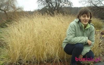 Grażyna, Kobieta, 44, Siemianowice Śląskie, Polska, Zdjęcie: 1