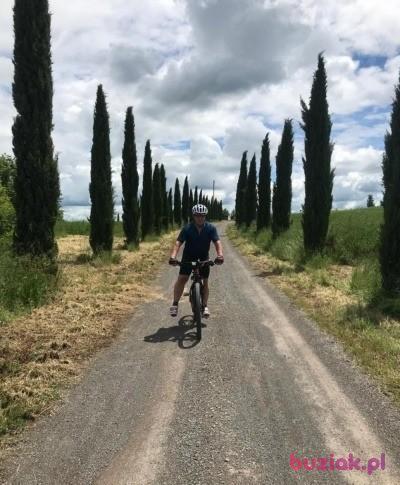 Gerhard, Male, 65, Poznań, Polska, Photo: 4