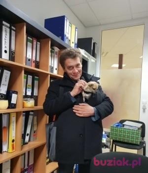 Krzysztof, Mężczyzna, 54, Hamburg, Niemcy, Zdjęcie: 2