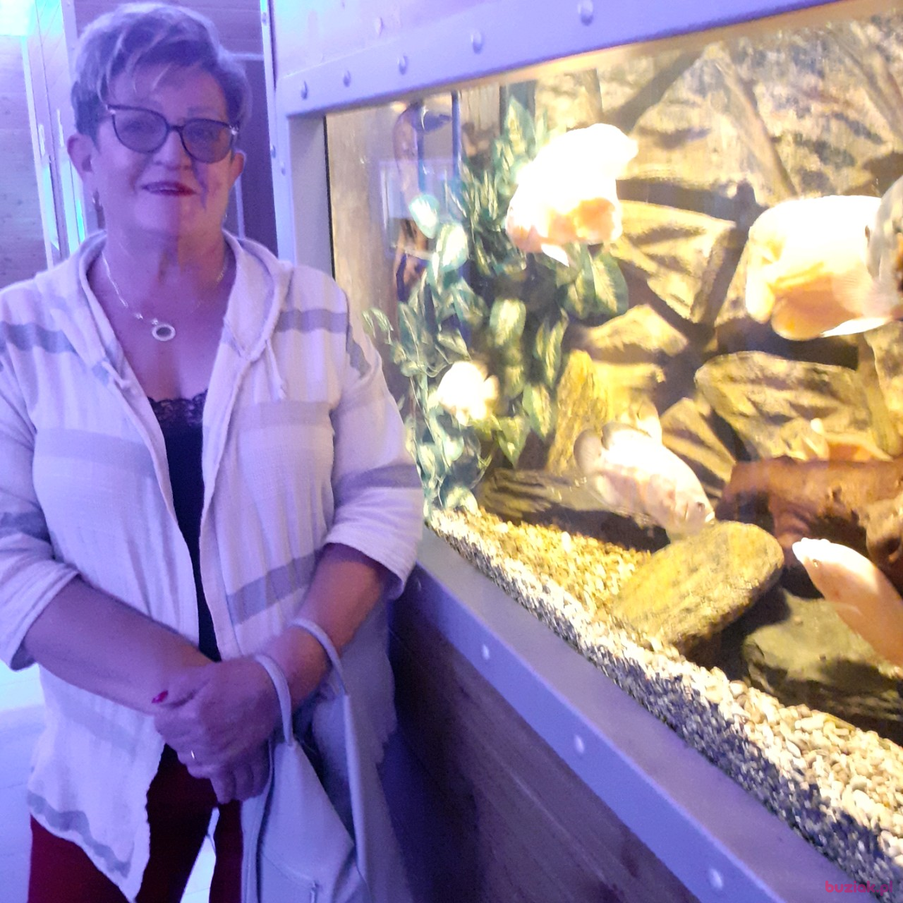 Ela, Kobieta, 68, Legnica, Polska, Zdjęcie: 1