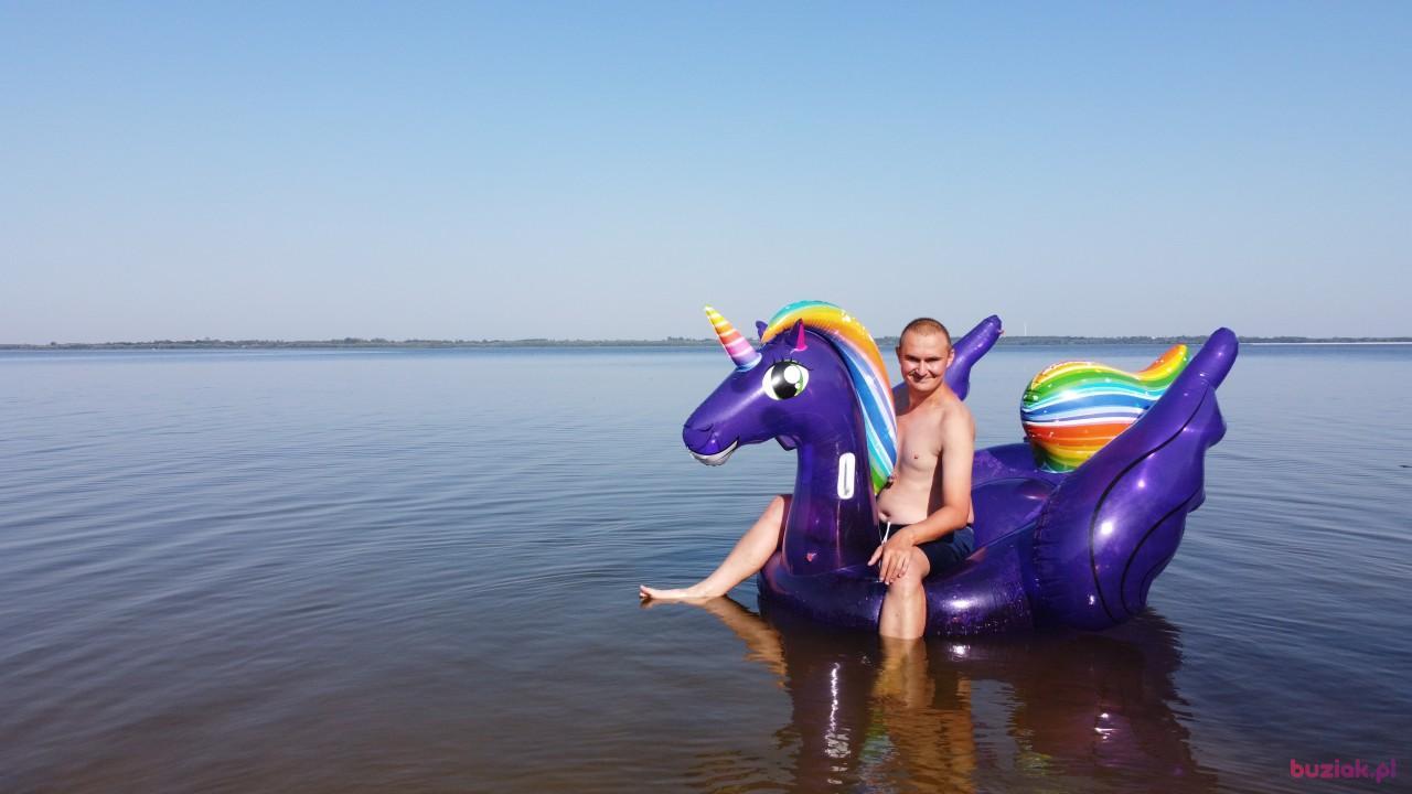 Michał, Male, 37, Zgierz, Polska, Photo: 594
