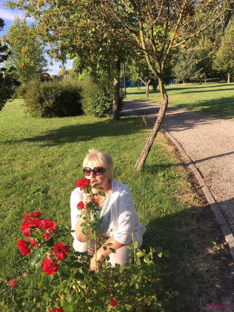 Małgorzata, Kobieta, 70, Sosnowiec, Polska, Zdjęcie: 1