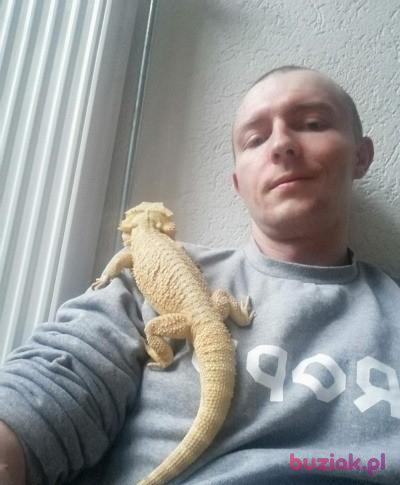 Sebastian, Mężczyzna, 38, Rotterdam, Holandia, Zdjęcie: 2