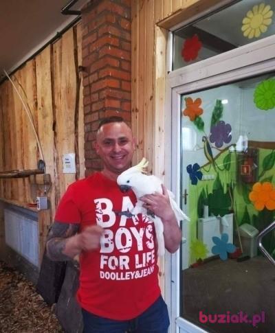 Jankes, Mężczyzna, 43, Gniezno, Polska, Zdjęcie: 3