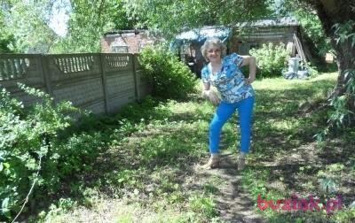 Zofia, Kobieta, 79, Goleniów, Polska, Zdjęcie: 6