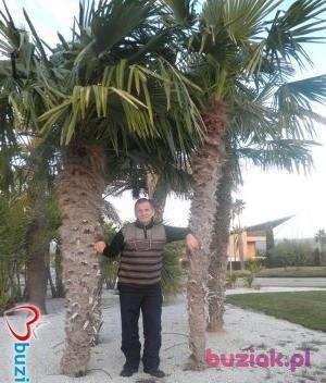 Stanisław, Mężczyzna, 69, Legnica, Polska, Zdjęcie: 4
