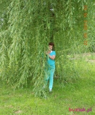 patrycja, Female, 72, Racibórz, Polska, Photo: 2