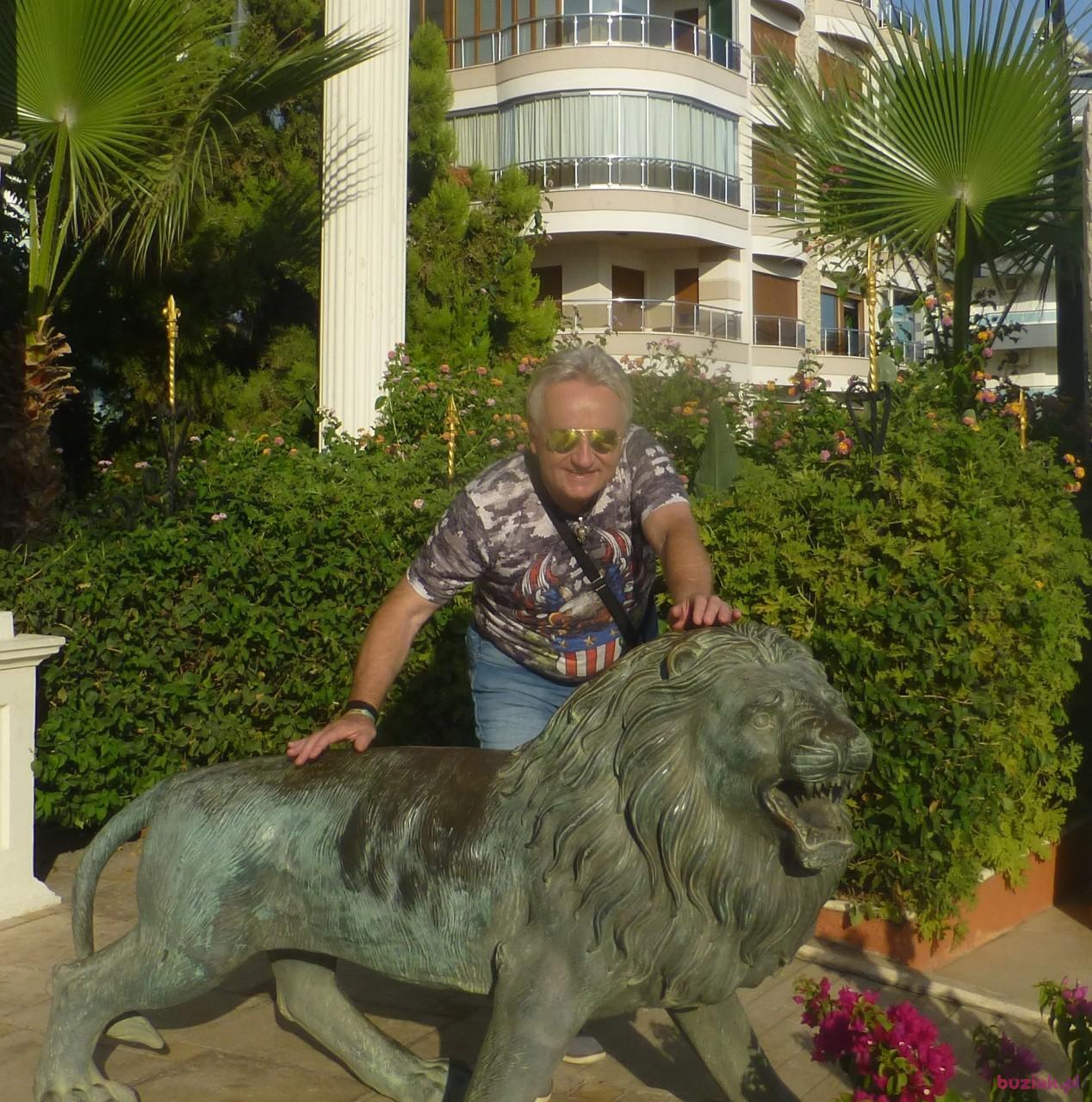 Darek, Mężczyzna, 64, Warszawa, Polska, Zdjęcie: 5