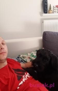 Krzysztof, Mężczyzna, 38, Holandia, Zdjęcie: 4