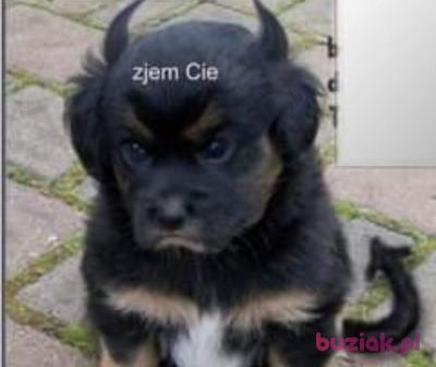 Damian, Male, 34, Wołomin, Polska, Photo: 10