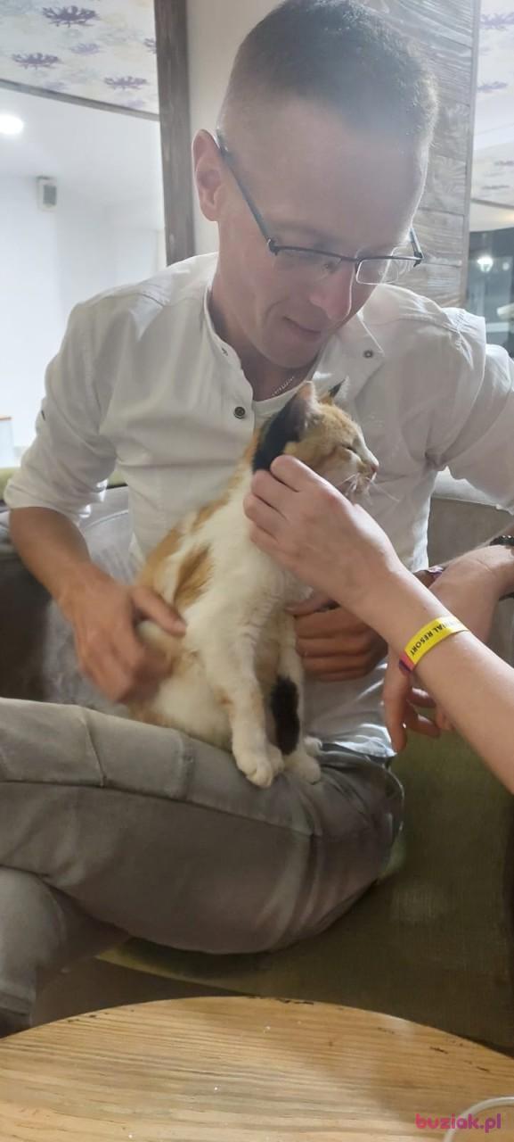 Marcin, Mężczyzna, 36, Kozienice, Polska, Zdjęcie: 13