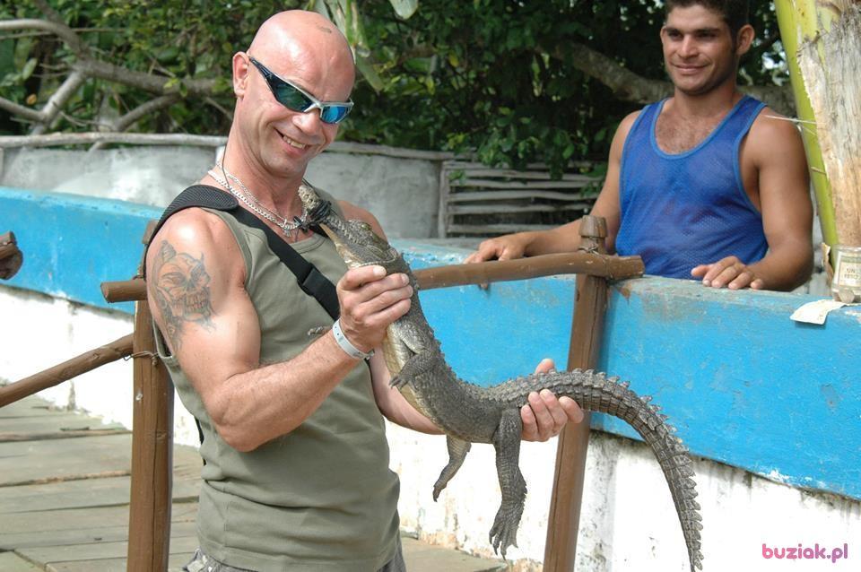 marco, Mężczyzna, 65, Katowice, Polska, Zdjęcie: 3