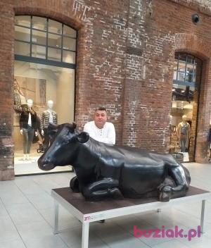Pawel, Male, 48, Berlin, Niemcy, Photo: 2