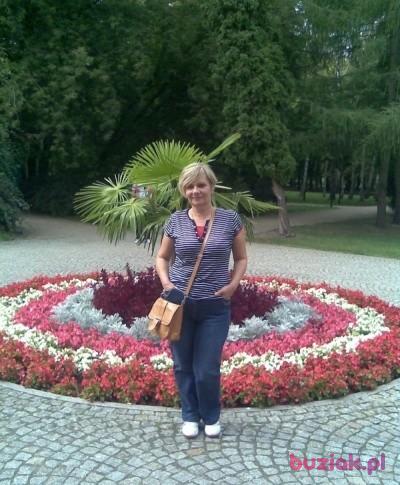 grazyna, Kobieta, 65, Radziejów, Polska, Zdjęcie: 3