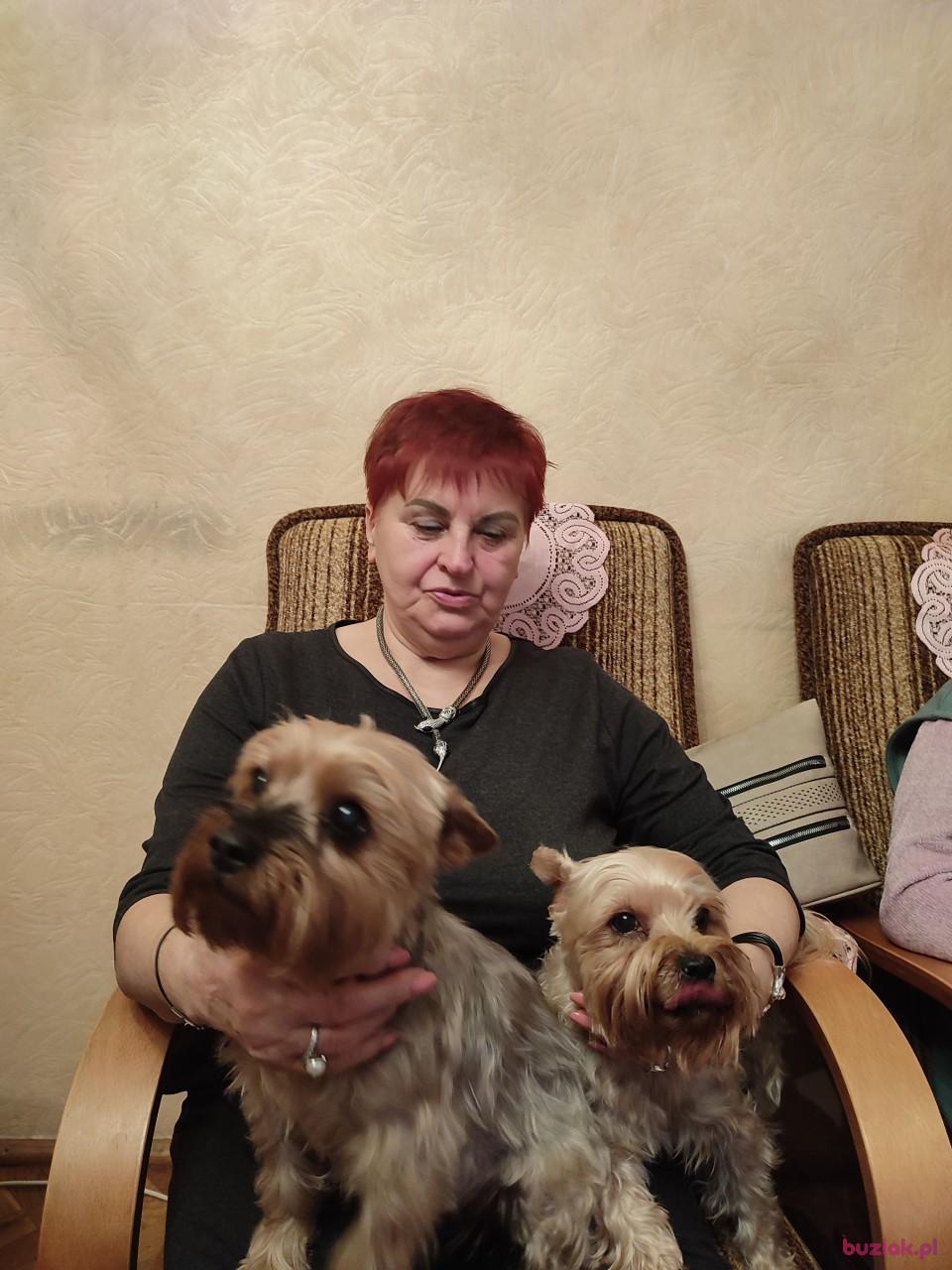 TERESA, Kobieta, 78, Warszawa, Polska, Zdjęcie: 2