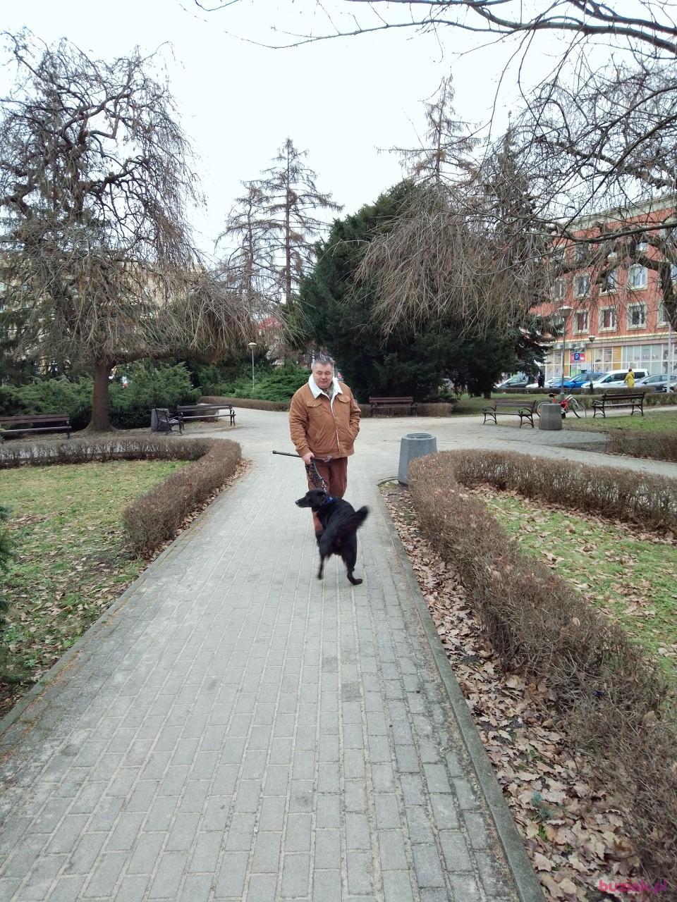 Grzegorz, Male, 66, Rzeszów, Polska, Photo: 9
