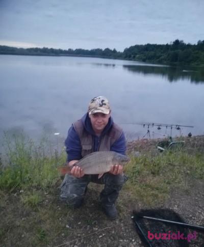 Kamil, Mężczyzna, 39, Bytom, Polska, Zdjęcie: 3