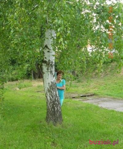 patrycja, Female, 72, Racibórz, Polska, Photo: 4
