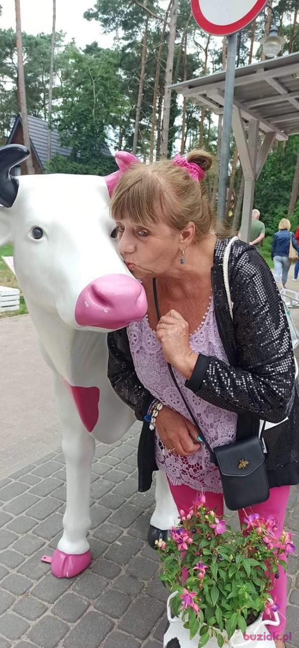 Krynia, Female, 66, Jawor, Polska, Photo: 8