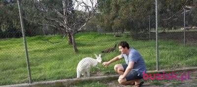 Rafal, Mężczyzna, 44, Australia, Zdjęcie: 3
