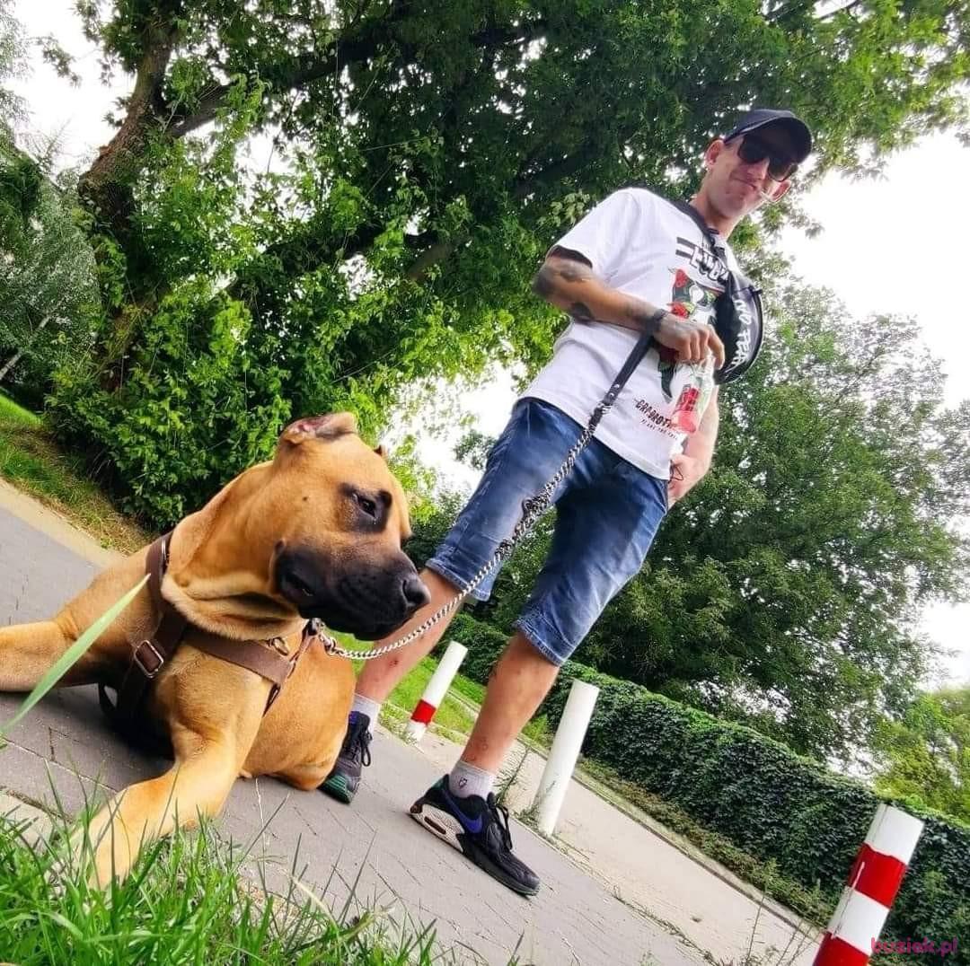 Michał, Mężczyzna, 33, Skierniewice, Polska, Zdjęcie: 2