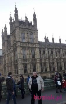 wieslaw, Male, 68, Westminster, Wielka Brytania, Photo: 4