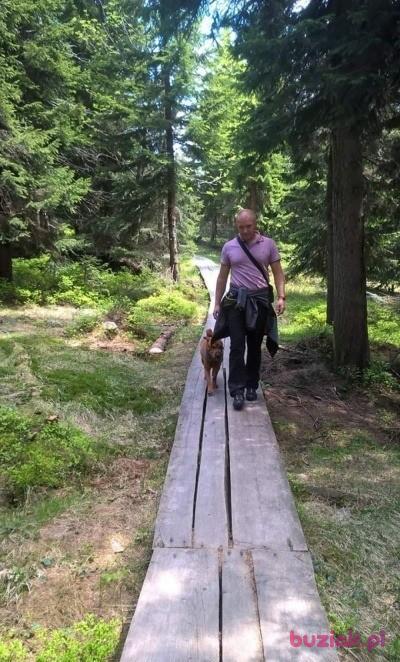 Mariusz, Mężczyzna, 44, Legnica, Polska, Zdjęcie: 2