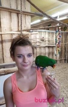 Patrycja , Female, 31, Gdańsk, Polska, Photo: 1