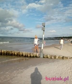 Aneta, Kobieta, 56, Gorzów Wielkopolski, Polska, Zdjęcie: 2