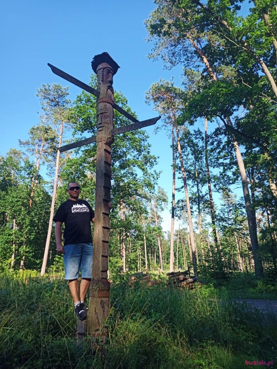 Kamil, Mężczyzna, 41, Ostrowiec Swiętokrzyski, Polska, Zdjęcie: 4
