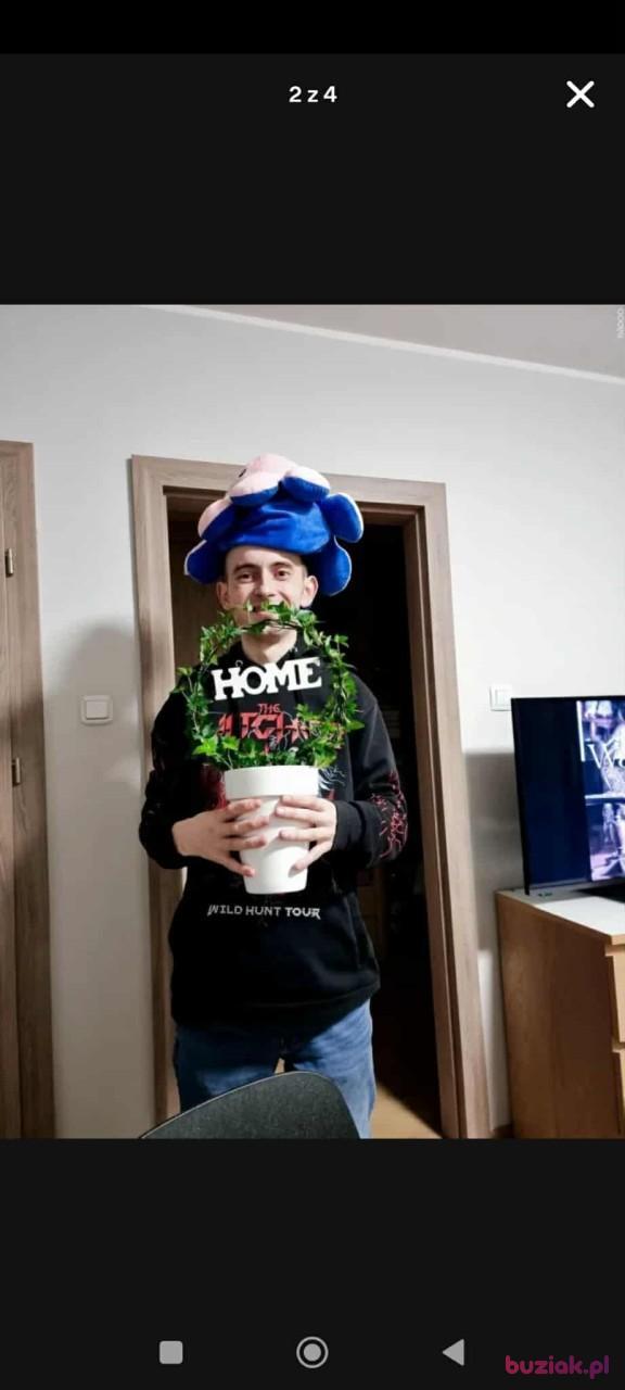 Rafał, Male, 33, Skierniewice, Polska, Photo: 7
