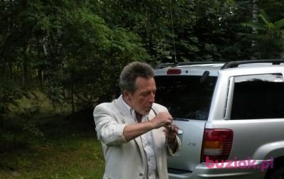 WALDEMAR, Mężczyzna, 76, Radom, Polska, Zdjęcie: 2