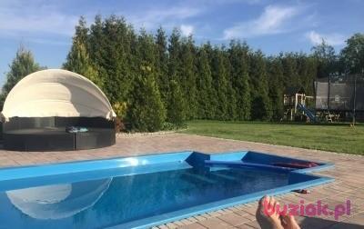 Wojtas, Mężczyzna, 57, Holandia, Zdjęcie: 7