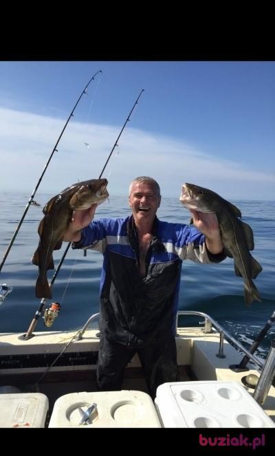 Jurek631, Male, 63, Antwerpia, Belgia, Photo: 2