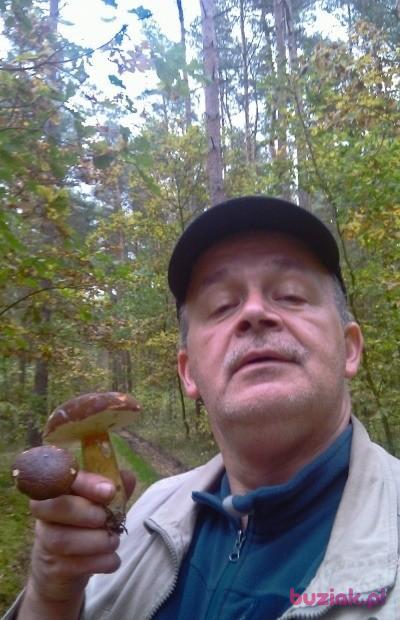 Maciej, Mężczyzna, 55, Piła, Polska, Zdjęcie: 14