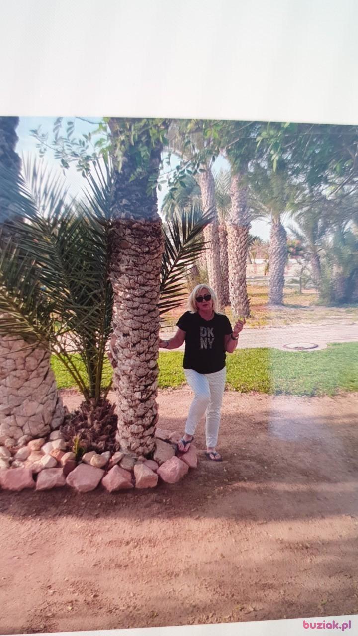 Laiki, Kobieta, 62, Zielona Góra, Polska, Zdjęcie: 3