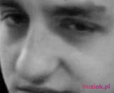 Kamil, Mężczyzna, 29, Holandia, Zdjęcie: 1