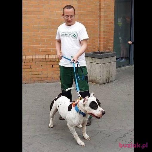 ticaey, Mężczyzna, 37, Gorzów Wielkopolski, Polska, Zdjęcie: 4