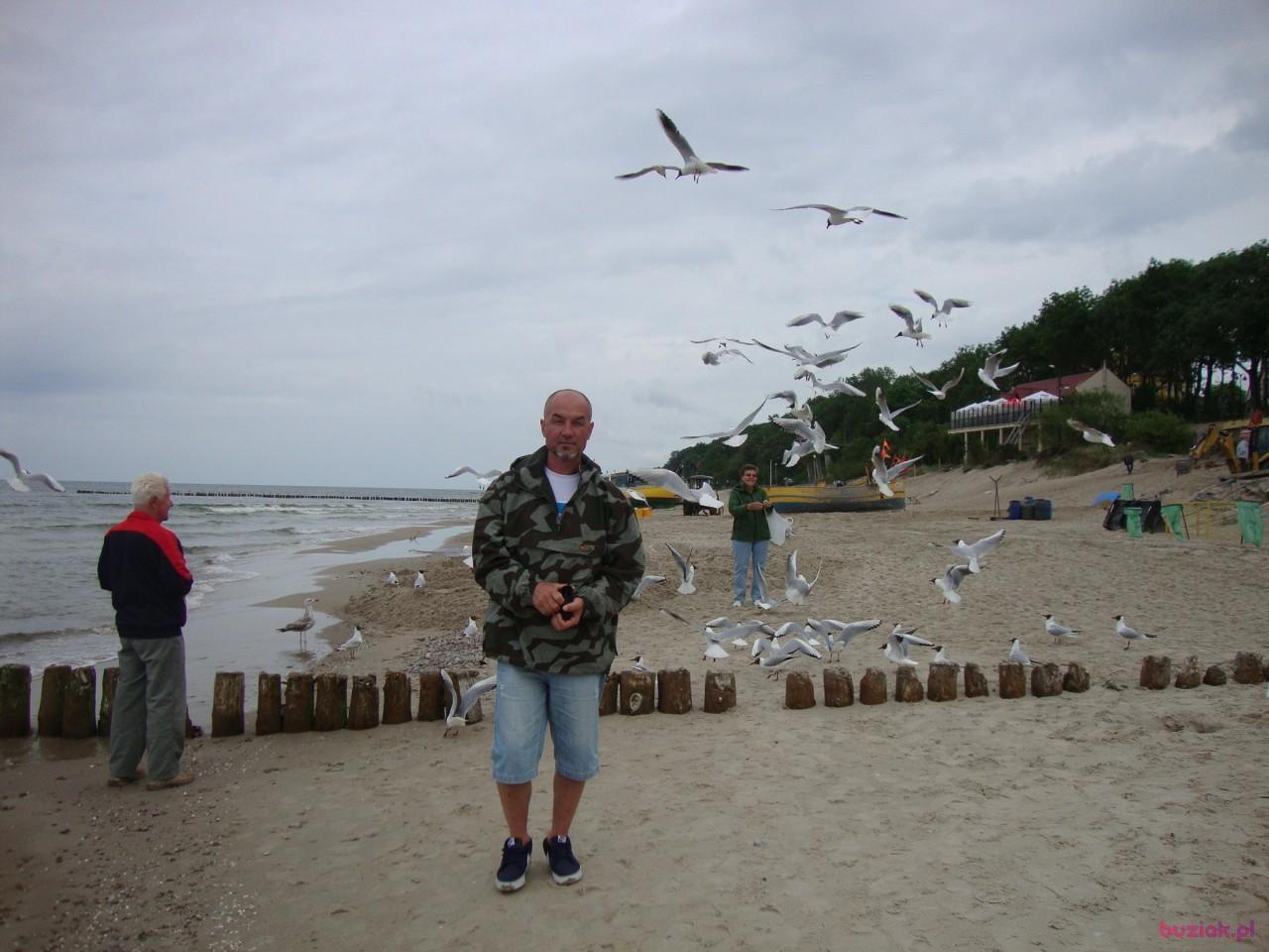 wieslaw, Male, 64, Hannover, Niemcy, Photo: 2