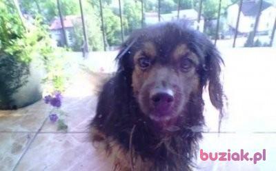 Magda, Female, 29, Rybnik, Polska, Photo: 2