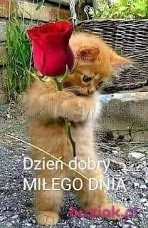 Krzysztof, Mężczyzna, 52, Crosby, Wielka Brytania, Zdjęcie: 2
