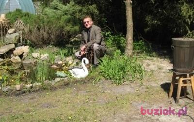 jerry7, Male, 65, Gąbin, Polska, Photo: 3
