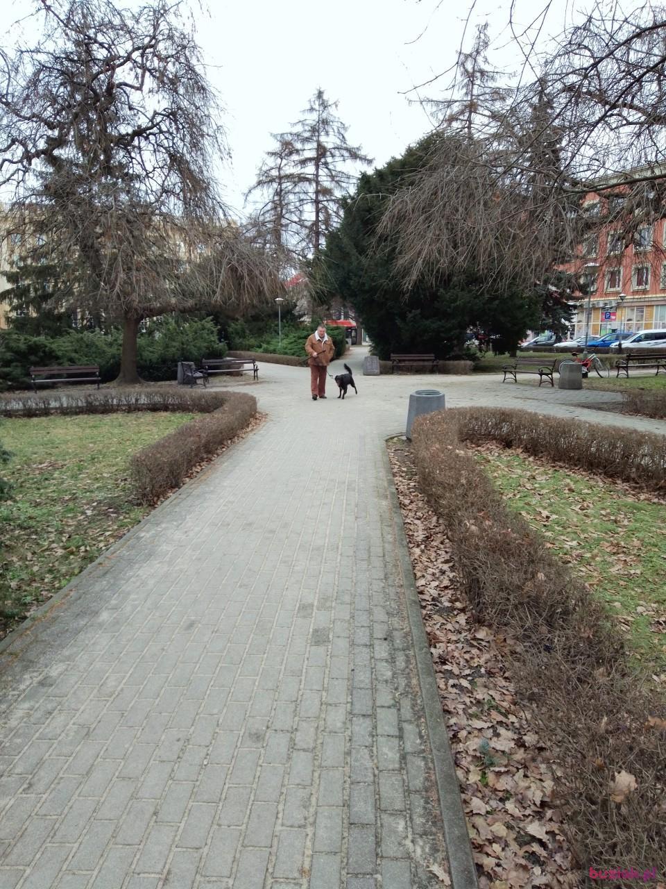 Grzegorz, Male, 66, Rzeszów, Polska, Photo: 8