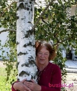 Zofia, Kobieta, 75, Człuchów, Polska, Zdjęcie: 3